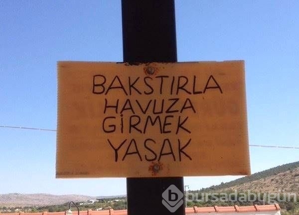 Sosyal medyanın efsane fotoğrafları