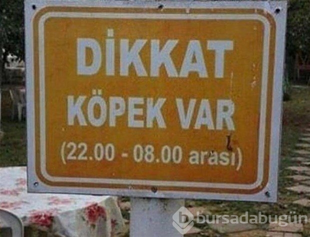 Sosyal medyanın efsane fotoğrafları