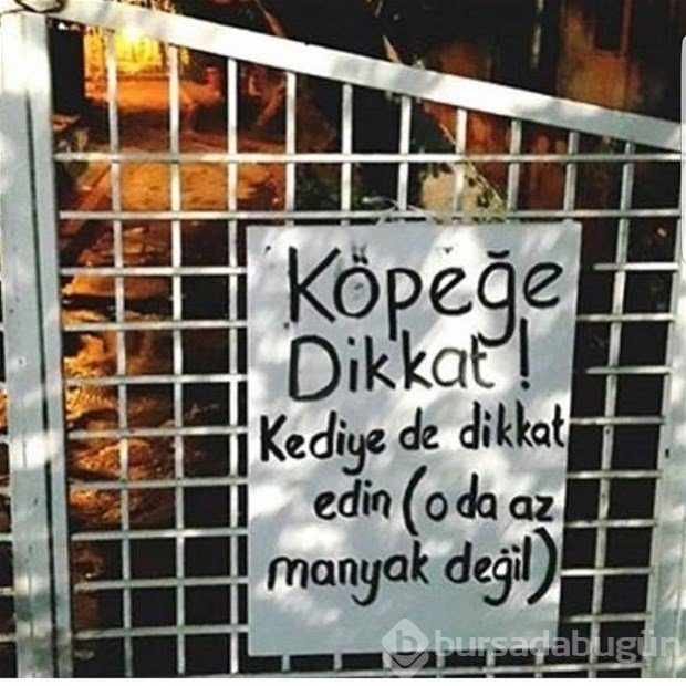 Sosyal medyanın efsane fotoğrafları