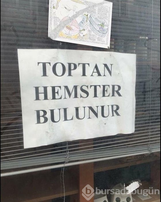 Sosyal medyanın efsane fotoğrafları