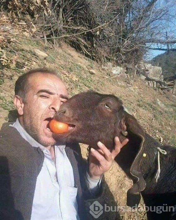 Sosyal medyanın efsane fotoğrafları