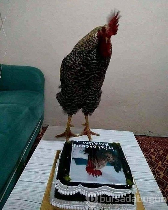 Sosyal medyanın efsane fotoğrafları