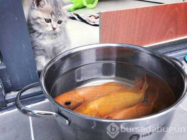 Günün en çok paylaşılan fotoğrafları