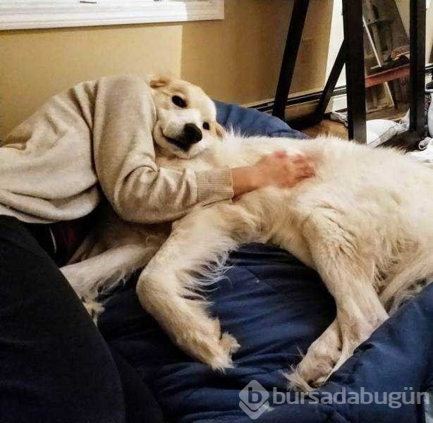 Günün en çok paylaşılan fotoğrafları