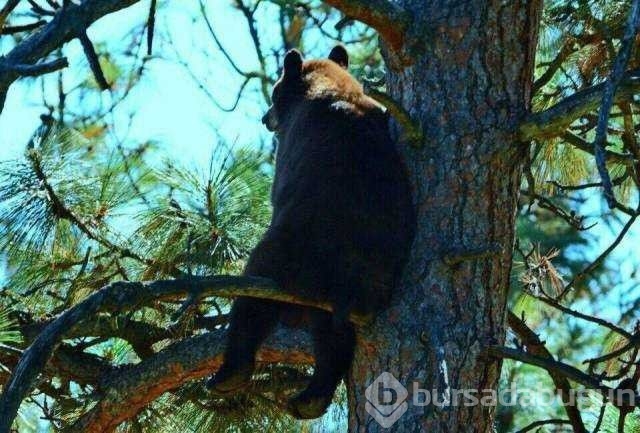 Günün en çok paylaşılan fotoğrafları