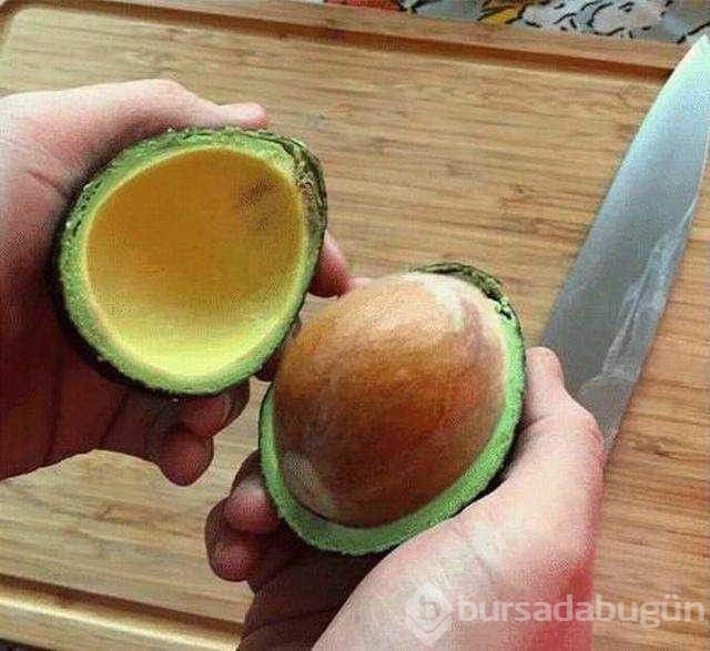 Günün en çok paylaşılan fotoğrafları