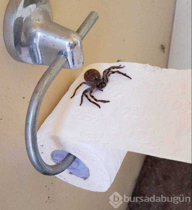 Günün en çok paylaşılan fotoğrafları