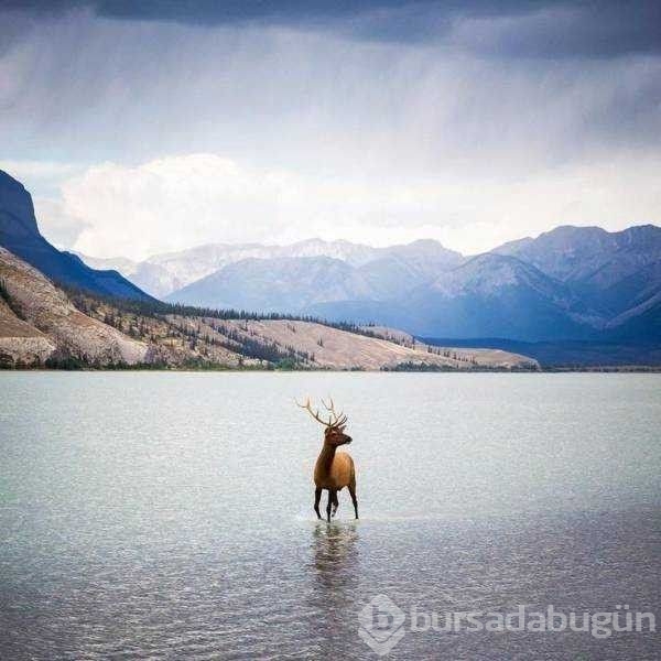 Günün en çok paylaşılan fotoğrafları