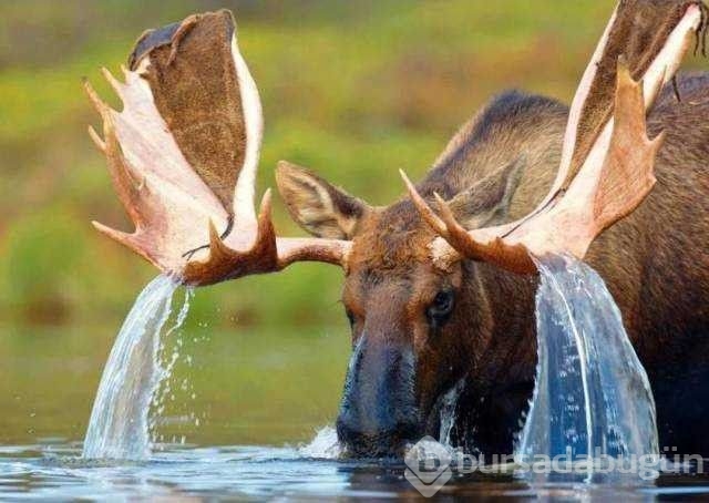 Günün en çok paylaşılan fotoğrafları