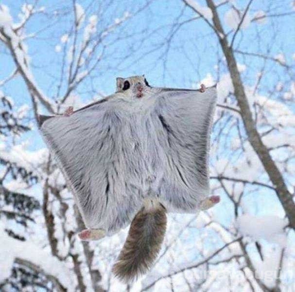 Günün en çok paylaşılan fotoğrafları