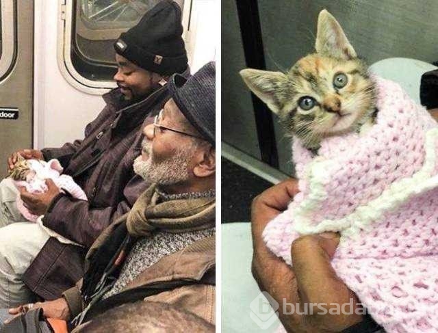 Günün en çok paylaşılan fotoğrafları