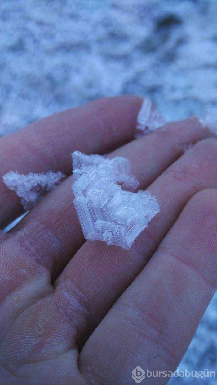 Günün en çok paylaşılan fotoğrafları