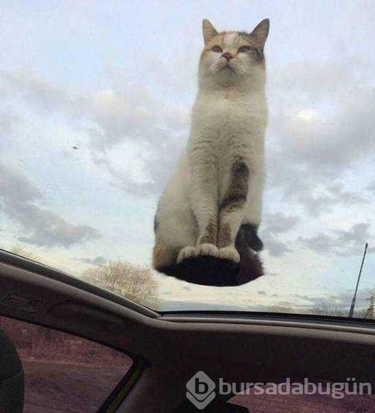 Günün en çok paylaşılan fotoğrafları