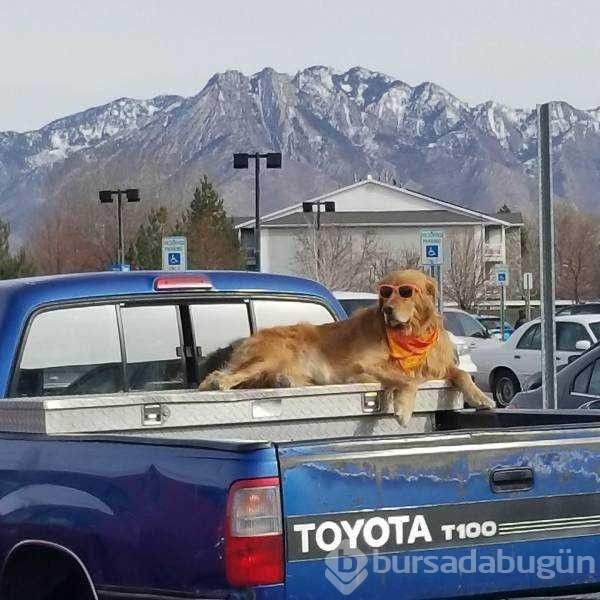 Günün en çok paylaşılan fotoğrafları