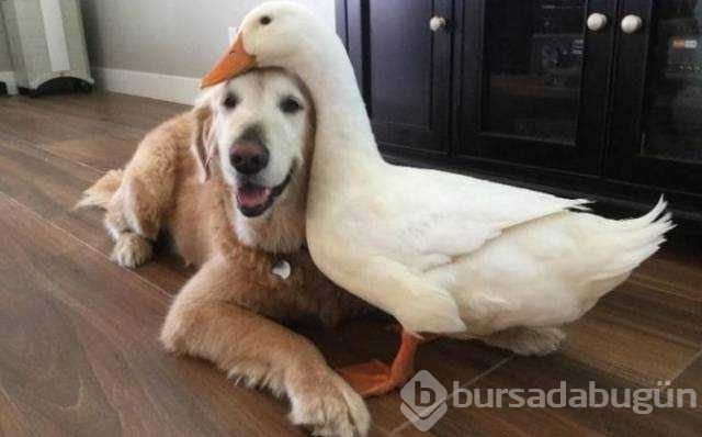 Günün en çok paylaşılan fotoğrafları