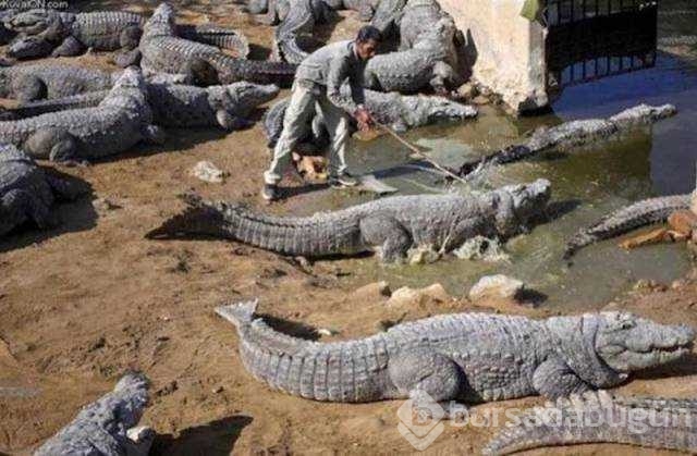Günün en çok paylaşılan fotoğrafları