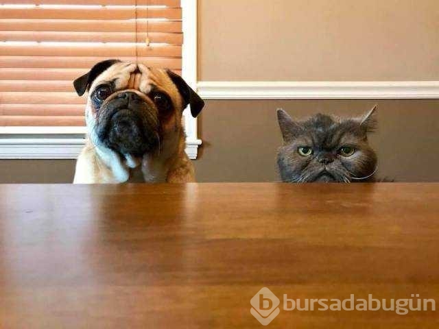 Günün en çok paylaşılan fotoğrafları