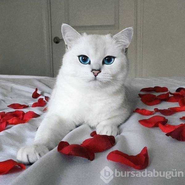 Günün en çok paylaşılan fotoğrafları