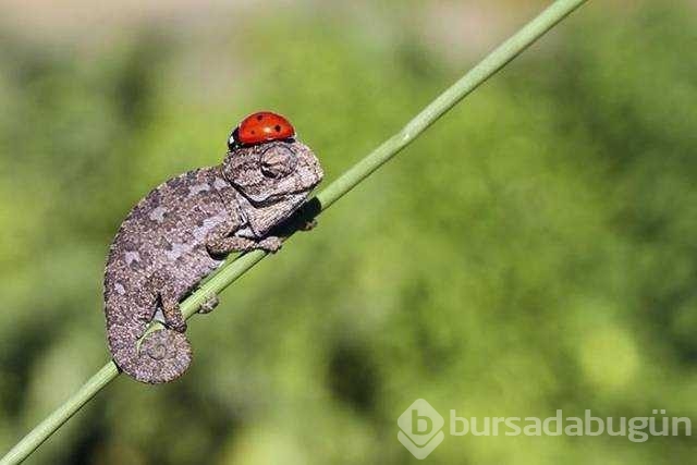 Günün en çok paylaşılan fotoğrafları