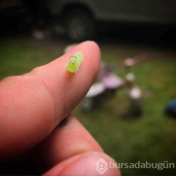 Günün en çok paylaşılan fotoğrafları