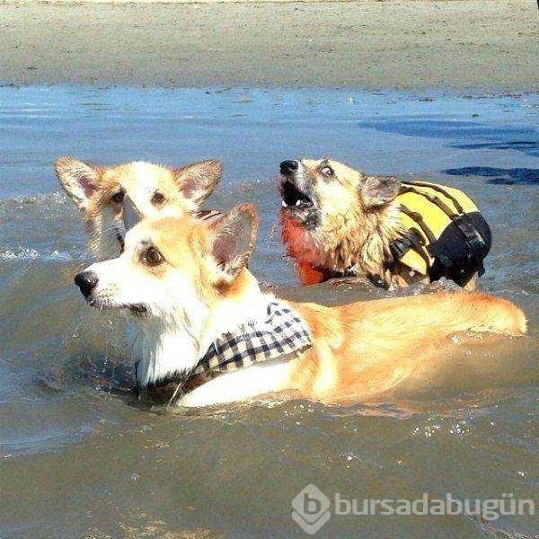 Günün en çok paylaşılan fotoğrafları