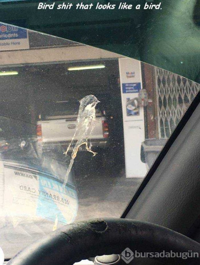 Günün en çok paylaşılan fotoğrafları