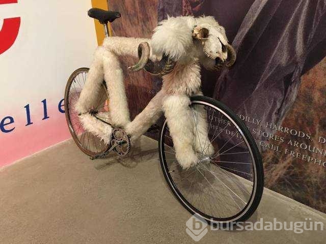 Günün en çok paylaşılan fotoğrafları