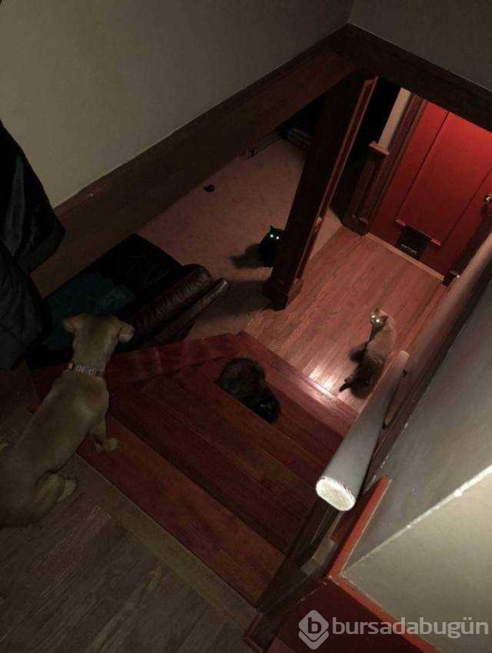 Günün en çok paylaşılan fotoğrafları