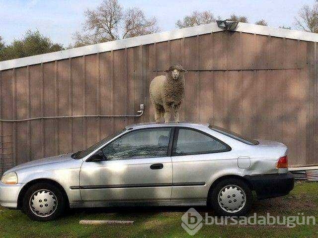Günün en çok paylaşılan fotoğrafları