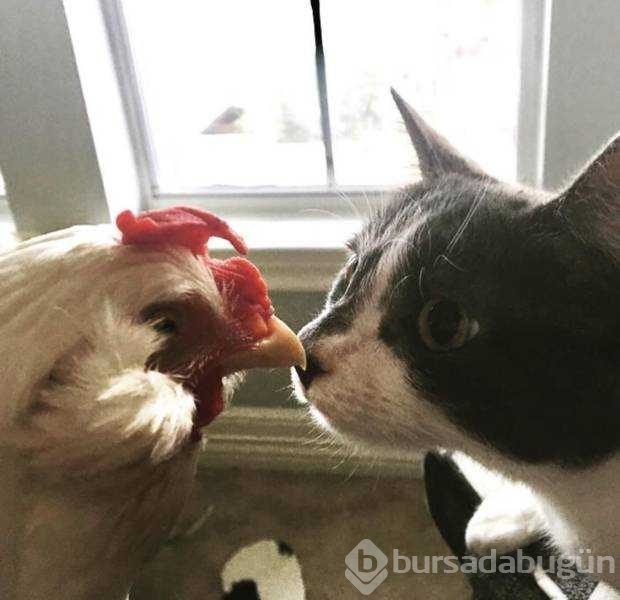 Günün en çok paylaşılan fotoğrafları