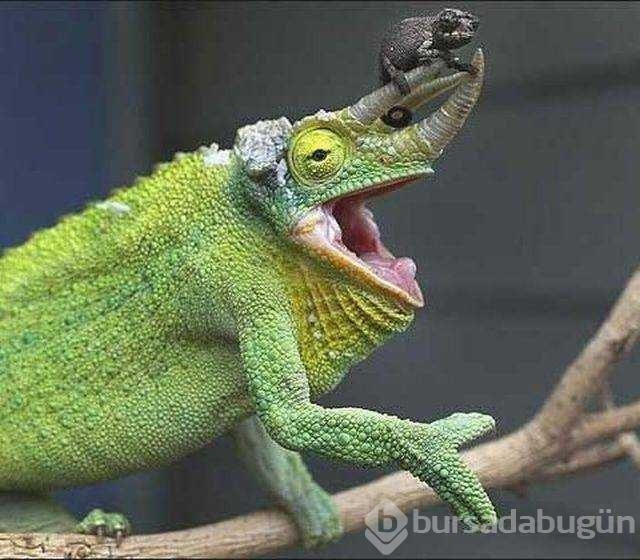 Günün en çok paylaşılan fotoğrafları