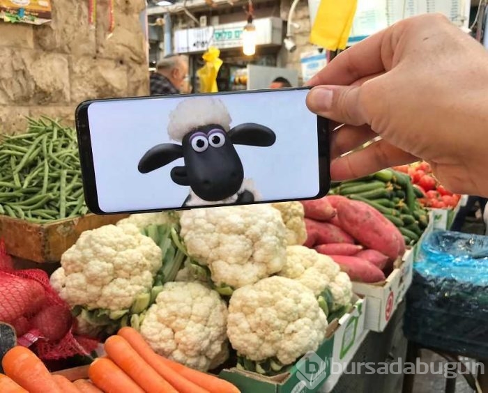 Olağanüstü cep telefonu fotoğrafçılığı