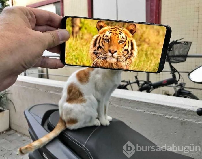 Olağanüstü cep telefonu fotoğrafçılığı