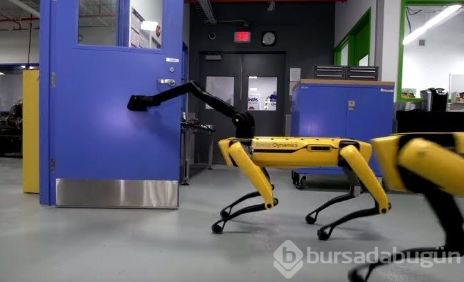 Birbirleriyle yardımlaşan robotlar!