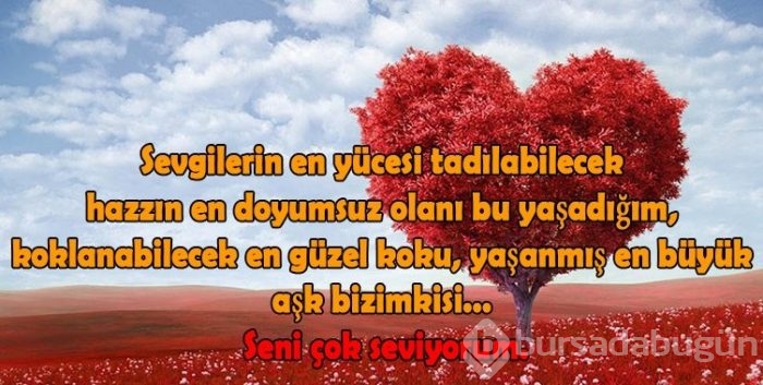 14 Şubat Sevgililer Günü mesajları burada!