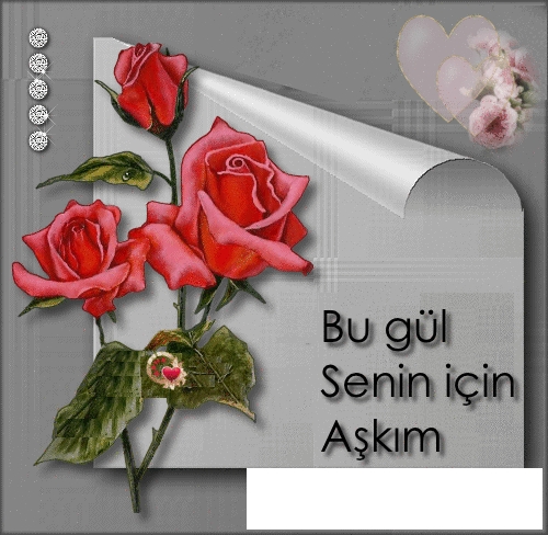 14 Şubat Sevgililer Günü mesajları burada!