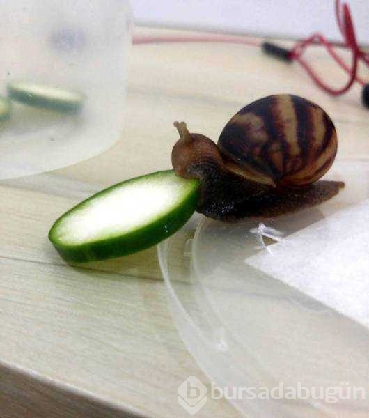 Günün en çok paylaşılan fotoğrafları
