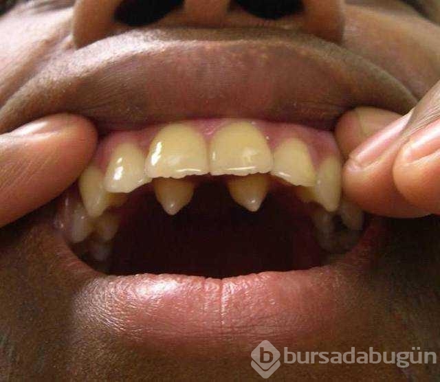 Günün en çok paylaşılan fotoğrafları
