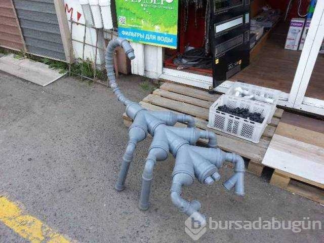 Günün en çok paylaşılan fotoğrafları
