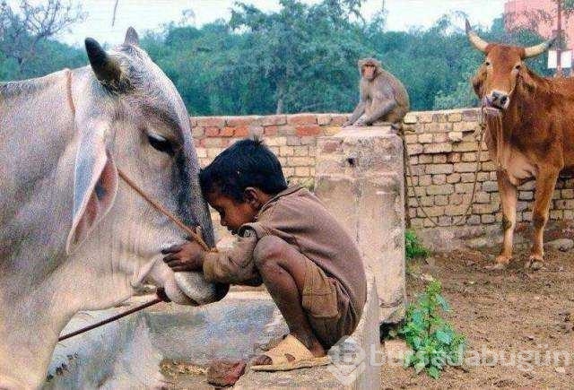 Günün en çok paylaşılan fotoğrafları
