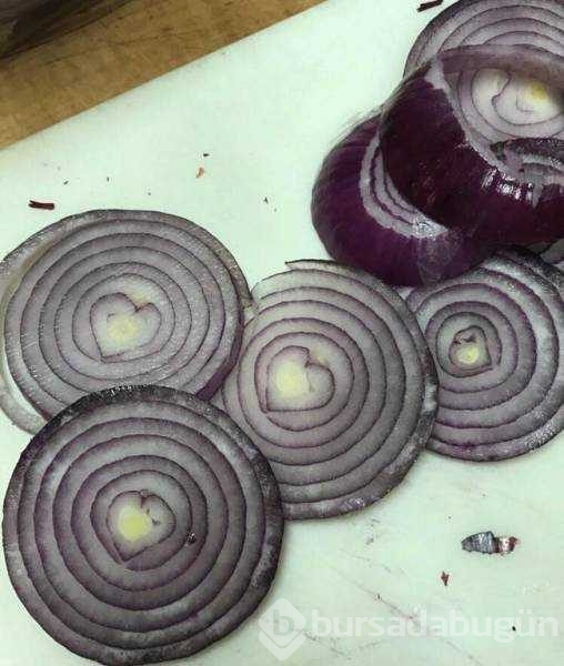 Günün en çok paylaşılan fotoğrafları
