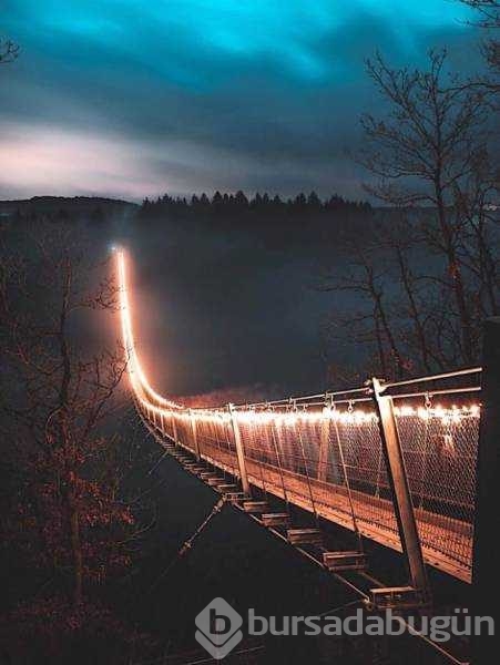 Günün en çok paylaşılan fotoğrafları
