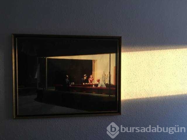 Günün en çok paylaşılan fotoğrafları
