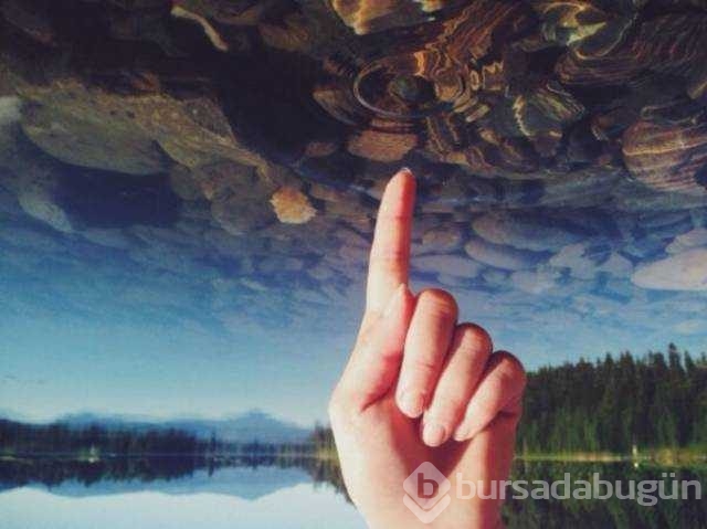 Günün en çok paylaşılan fotoğrafları
