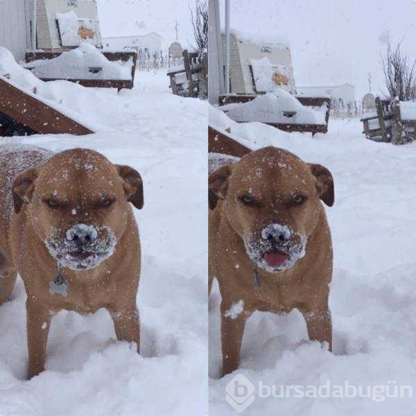 Günün en çok paylaşılan fotoğrafları
