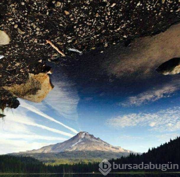 Günün en çok paylaşılan fotoğrafları
