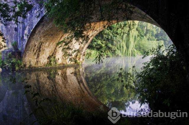 Günün en çok paylaşılan fotoğrafları
