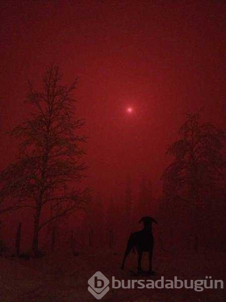 Günün en çok paylaşılan fotoğrafları

