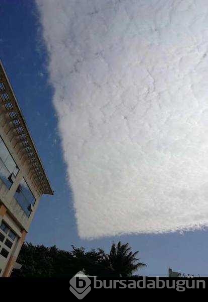 Günün en çok paylaşılan fotoğrafları

