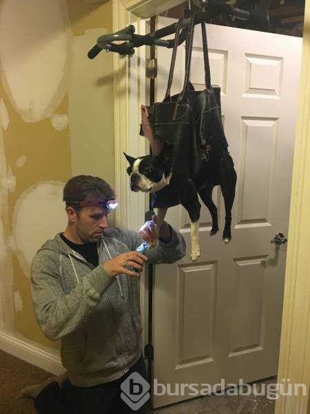 Günün en çok paylaşılan fotoğrafları
